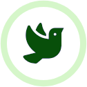 milesia lutte biologique